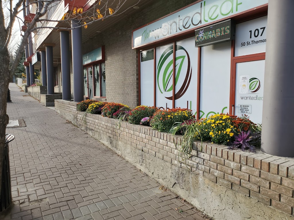 The Wanted Leaf Cannabis Co. | 50 St Thomas St #107, St. Albert, AB T8N 6Z8, Canada | Phone: (587) 290-4200