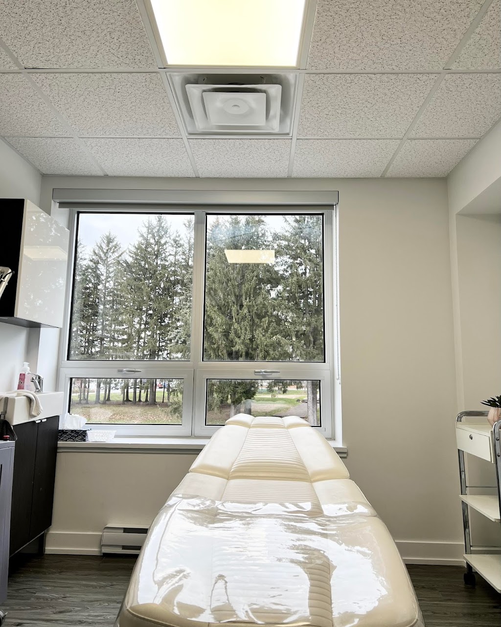 Manju Laser | 15700 Boul Gouin O, Sainte-Geneviève, QC H9H 1C4, Canada | Phone: (514) 973-4347