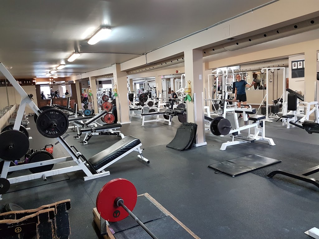 Riverdale Fitness | 835 Danforth Ave, Toronto, ON M4J 1L2, Canada | Phone: (416) 406-1944