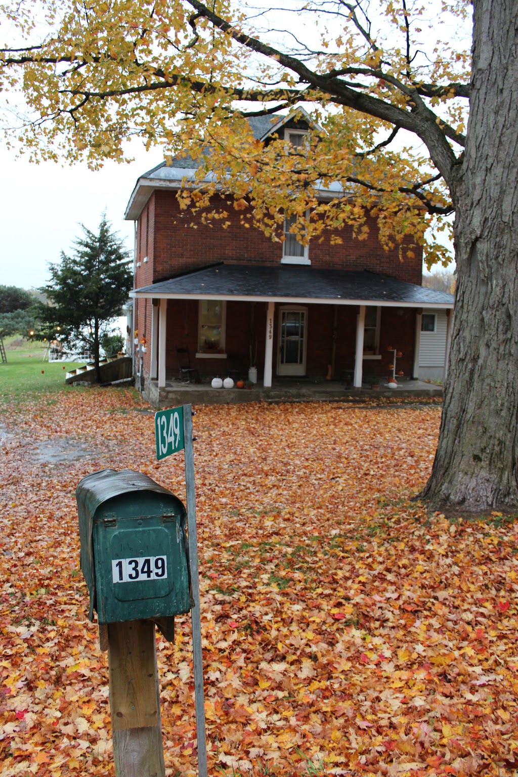 Tay Point Farms | 1349 Tay Point Rd, Penetanguishene, ON L9M 2C5, Canada | Phone: (705) 526-8423