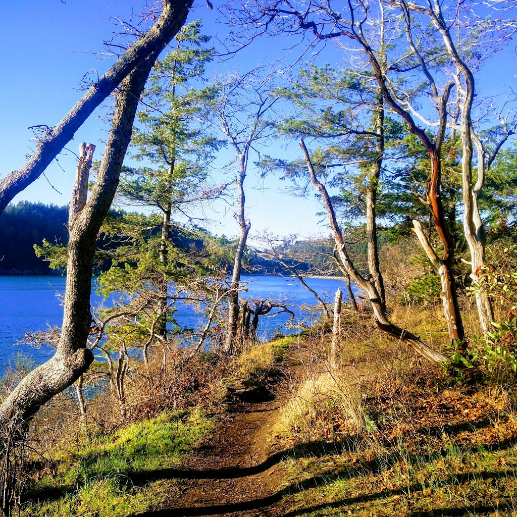 Teddy Bear Cove - Chuckanut Mountain Trails | 1467 Chuckanut Dr, Bellingham, WA 98229, USA | Phone: (360) 384-3444