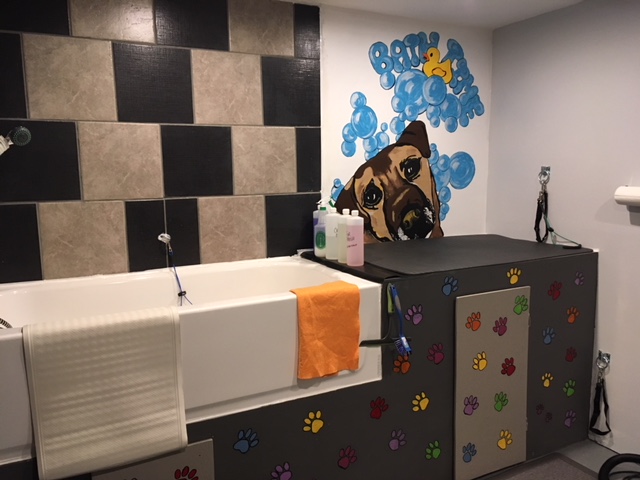 Cuts and Cuddles Dog Spa | 24 Elgin St N, Cambridge, ON N1R 5G7, Canada | Phone: (226) 218-4732