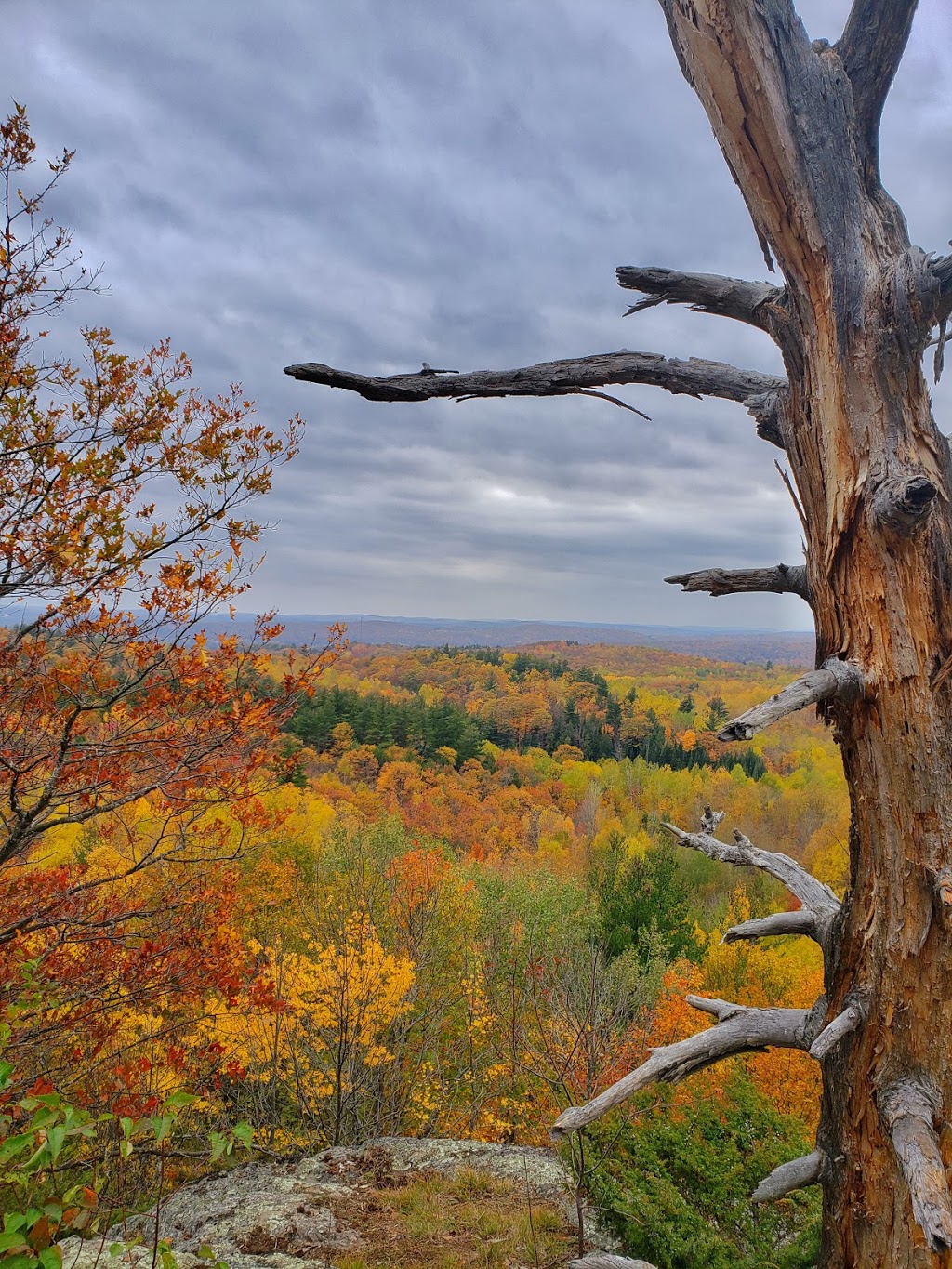 Blueberry Mountain Trail | 502 Hills of Peace Rd, Lanark, ON K0G 1K0, Canada | Phone: (613) 253-2722