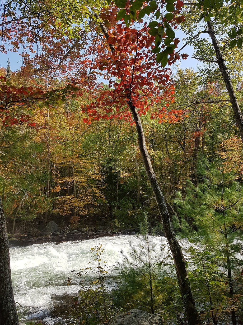 Buttermilk Falls | 16946 ON-35, Algonquin Highlands, ON K0M 1J1, Canada | Phone: (705) 489-1904