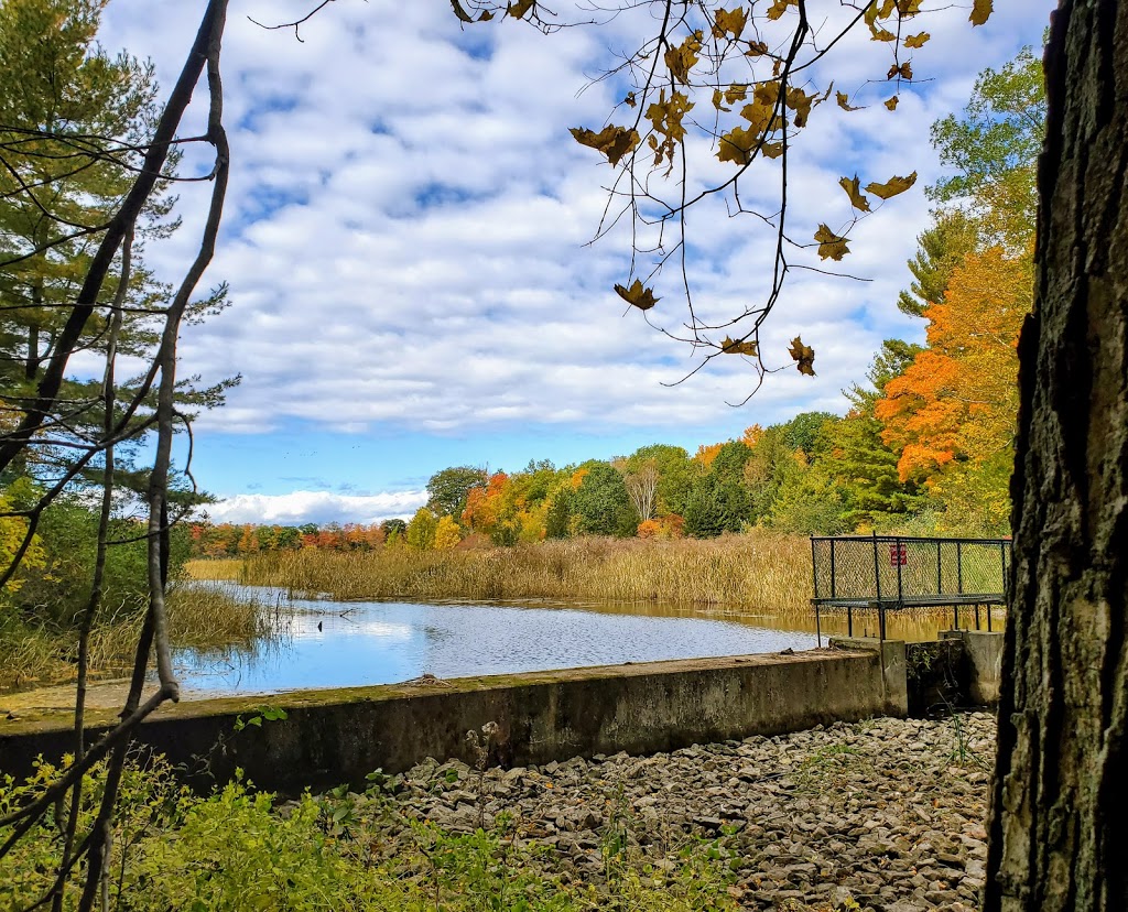 Beaver Meadow Wildlife Management Area | Prince Edward, ON K0K, Canada | Phone: (613) 968-3434