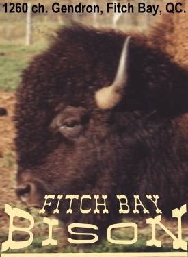 Fitch Bay Bison | 1260 Chem. Gendron, Memphrémagog, QC J1X 3W4, Canada | Phone: (819) 843-0527