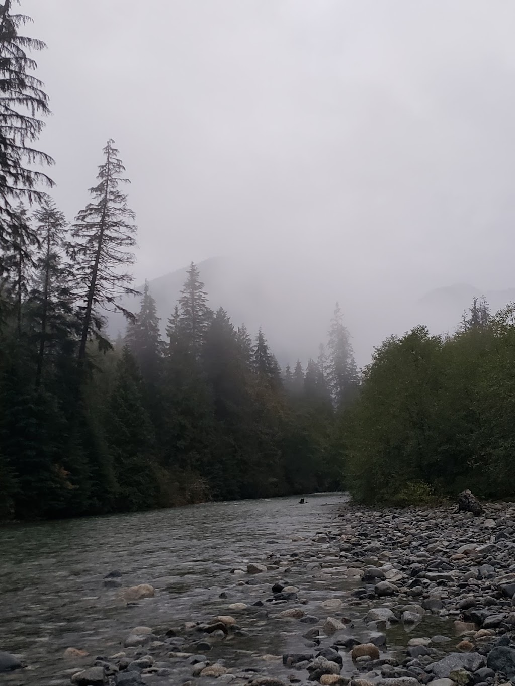 Halfmoon Beach | Fraser Valley F, BC V0M, Canada