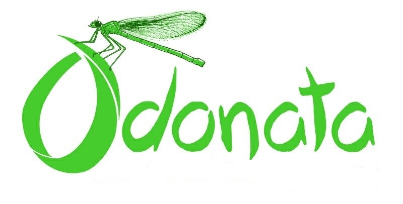 Odonata Mole Control | 2585 176 St, Surrey, BC V3S 9V4, Canada | Phone: (604) 825-8086