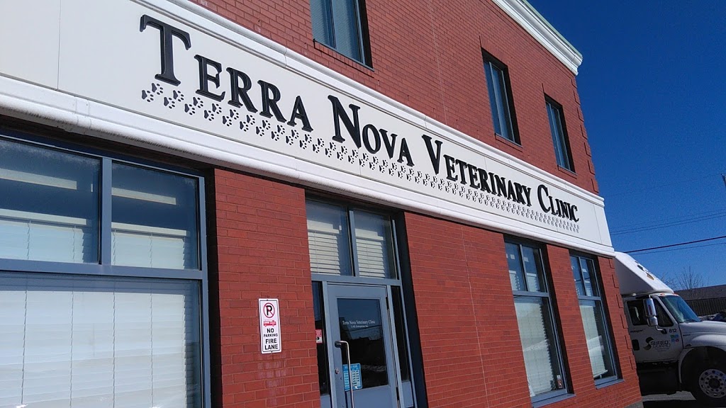 Terra Nova Veterinary Clinic | 10 Elizabeth Av, St. Johns, NL A1A 1W4, Canada | Phone: (709) 738-7054