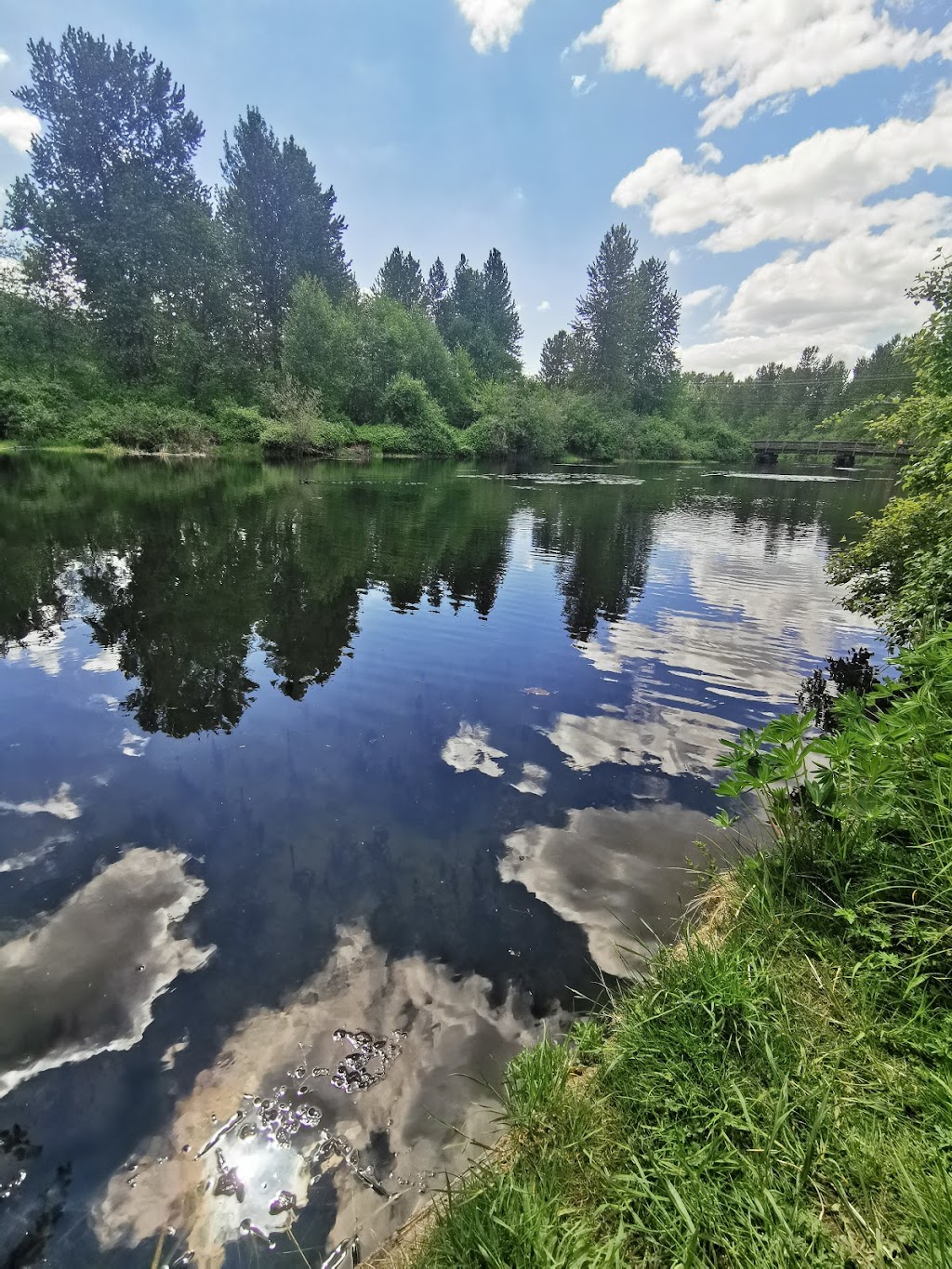 Great Blue Heron Nature Reserve | 5200 Sumas Prairie Rd, Chilliwack, BC V2R 4N7, Canada | Phone: (604) 823-6603