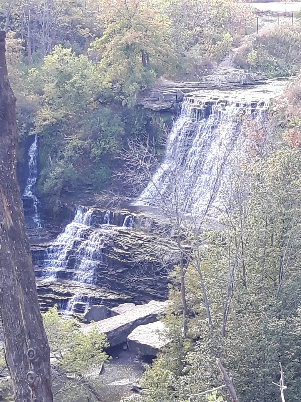 Upper Kings Forest Park | Albion Falls, Hamilton, ON L8K, Canada