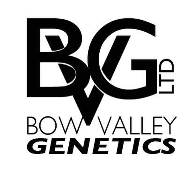 Bow Valley Genetics Ltd. | 170037 SH 550, Rosemary, AB T0J 2W0, Canada | Phone: (587) 887-1934