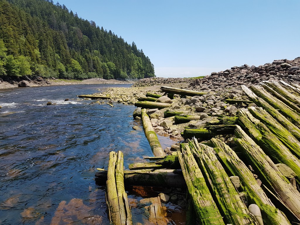 Fundy Trail Parkway Interpretive Center | 1100 Fundy Trail Pkwy, Salmon River, NB E5R 1W4, Canada | Phone: (866) 386-3987