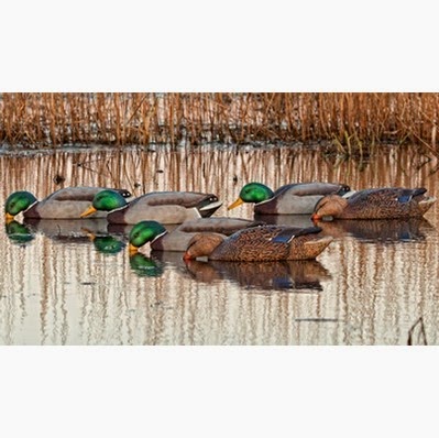 Canadian Waterfowl Supplies | 81 Oakland Rd, Scotland, ON N0E 1R0, Canada | Phone: (855) 434-3825