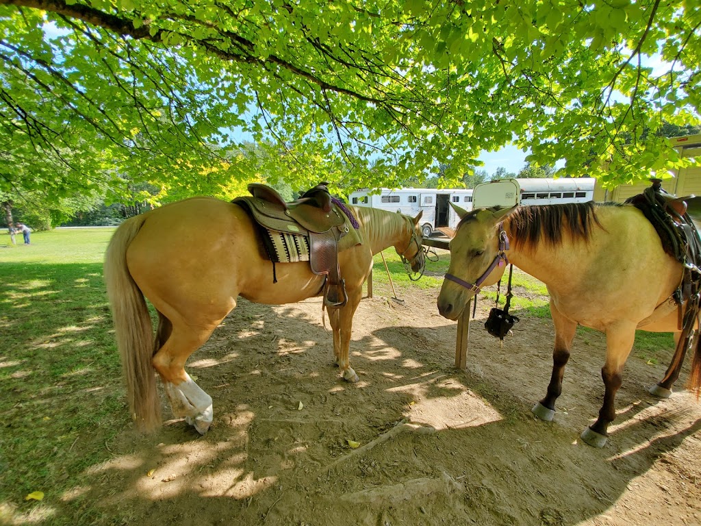 Campbell Downs Equestrian Centre | 1255 208 St, Langley, BC V2Z 1T4, Canada | Phone: (604) 530-4983