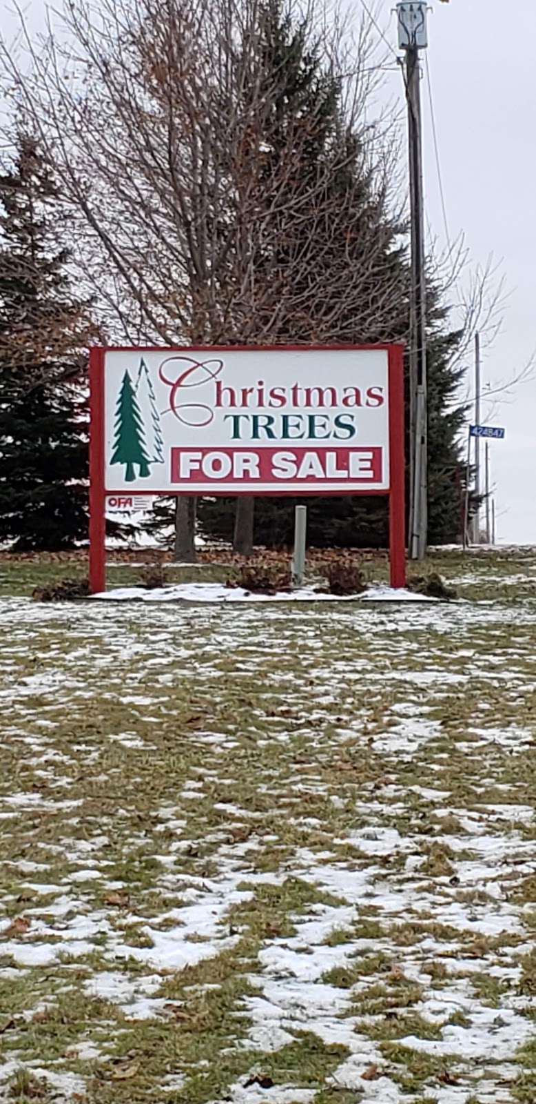 Vanderklooster Christmas Trees | 424847 Substation Rd, Burgessville, ON N0J 1C0, Canada | Phone: (519) 535-0215