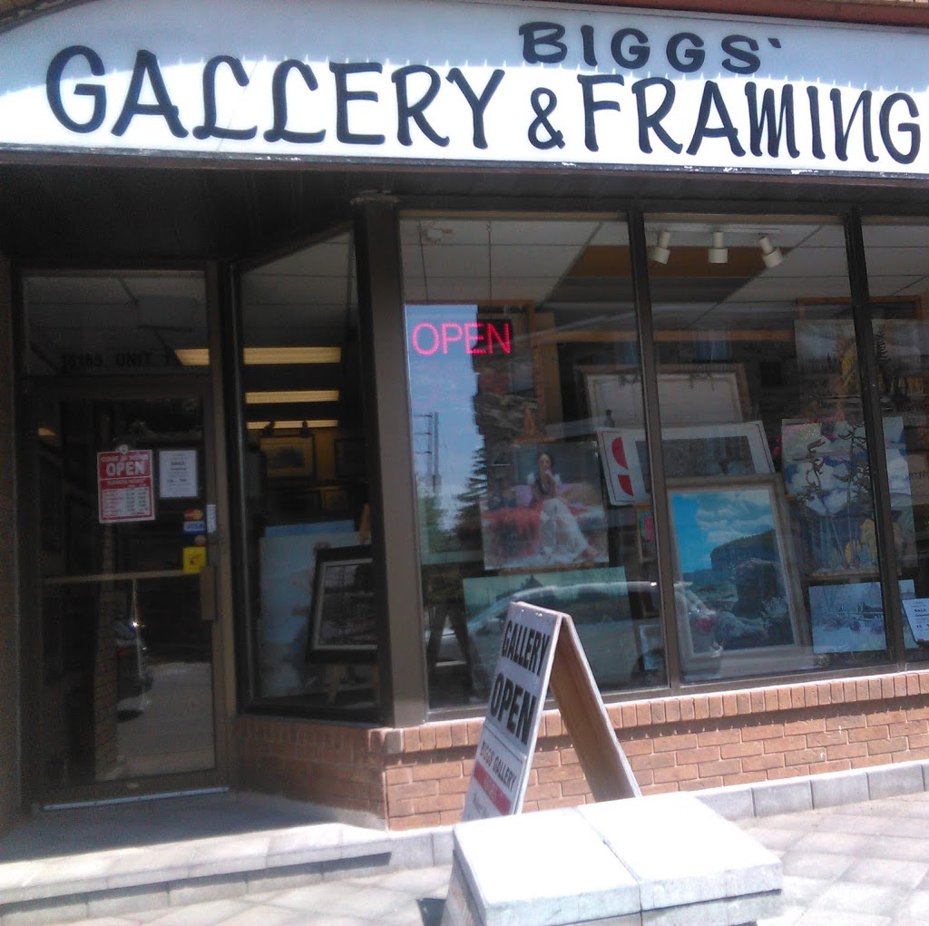 Biggs Gallery & Framing | 15165 Yonge St, Aurora, ON L4G 1M1, Canada | Phone: (905) 727-6308