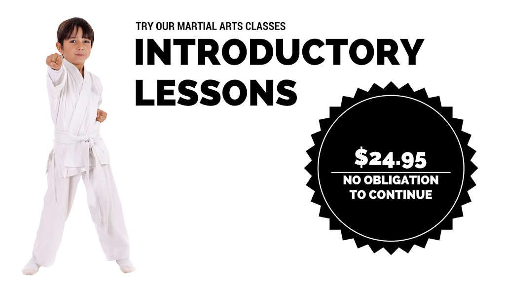 No Limits Martial Arts Milton | 151 Steeles Ave E, Milton, ON L9T 1Y1, Canada | Phone: (877) 432-7538