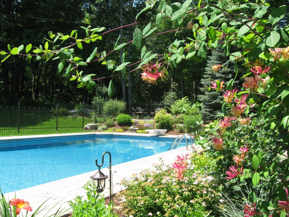 Piscine VIP | 3570 QC-108, Cookshire-Eaton, QC J0B 1M0, Canada | Phone: (819) 943-1838