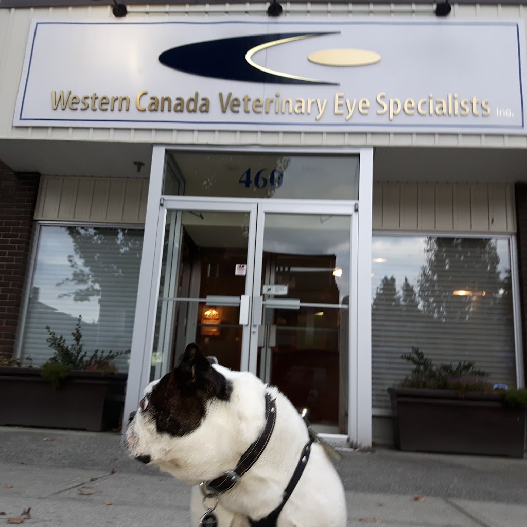 Western Canada Veterinary Eye Specialists | 460 E Columbia St, New Westminster, BC V3L 3X5, Canada | Phone: (604) 549-4944