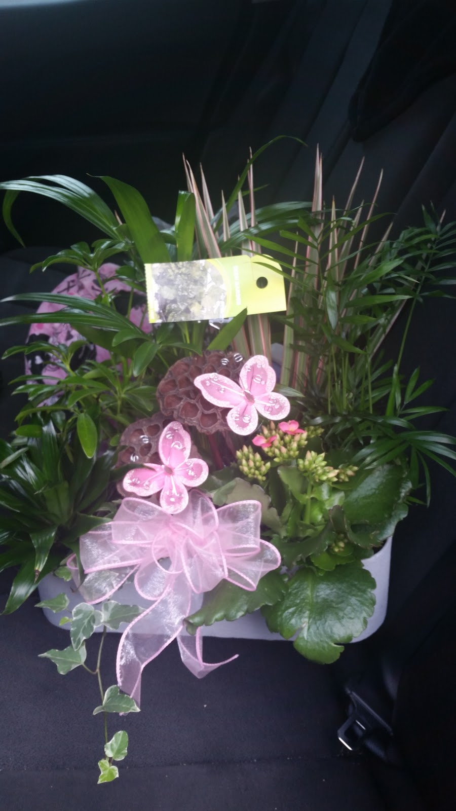 Stans Flowers Inc. | 171 St Clair St, Chatham, ON N7L 3J4, Canada | Phone: (519) 354-6200