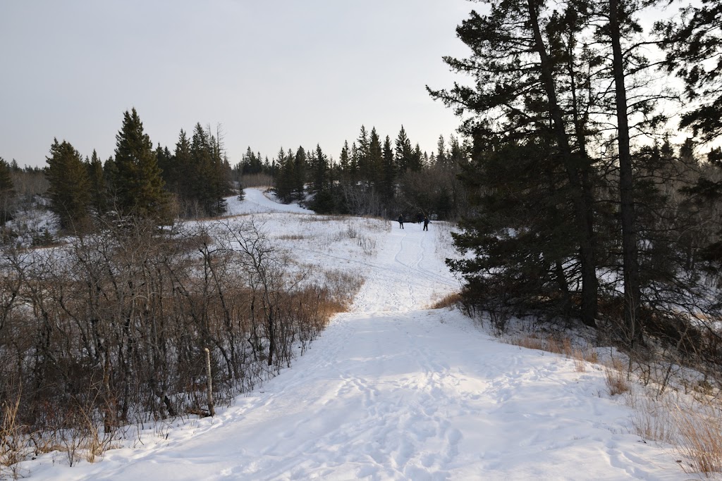 Epinette Creek Trailhead | South Cypress, MB R0K 0H0, Canada | Phone: (204) 827-8850