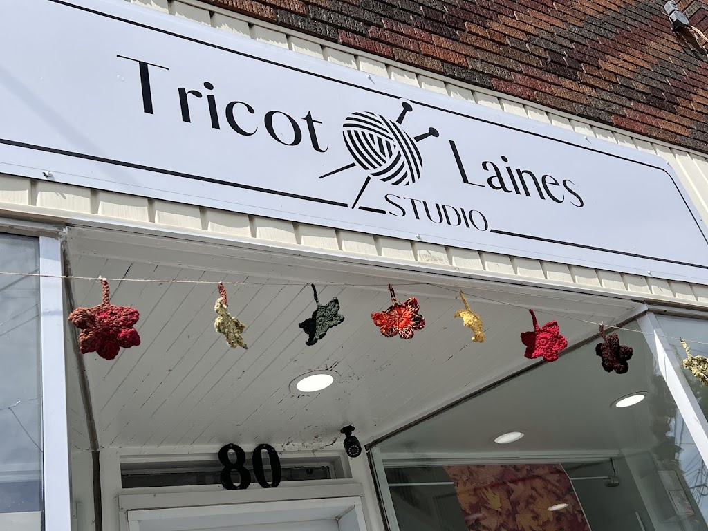 Tricot & Laines Studio | 80 Rue Châteauguay, Huntingdon, QC J0S 1H0, Canada | Phone: (450) 288-7777