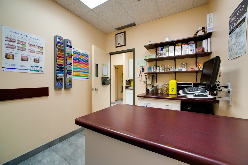 Centre Street Animal Hospital | 7700 Bathurst St #40, Thornhill, ON L4J 7Y3, Canada | Phone: (905) 771-9855