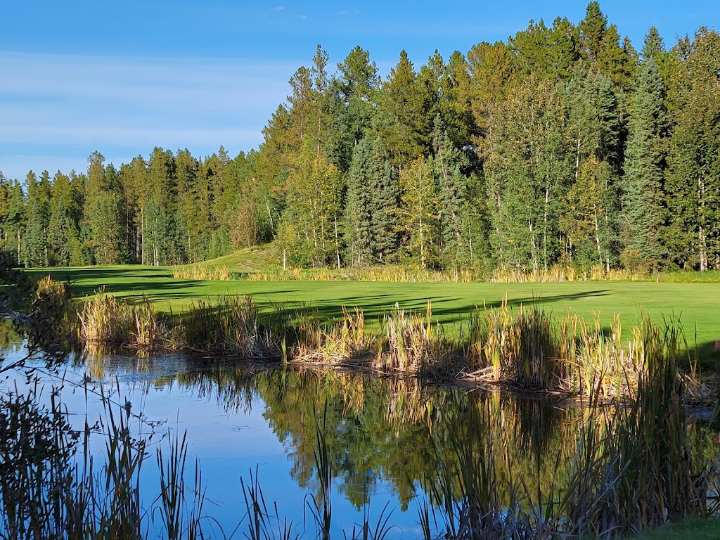 Pine Hills Golf Club | 75074, Township Road 39 #5, Rocky Mountain House, AB T4T 1B4, Canada | Phone: (403) 845-7400