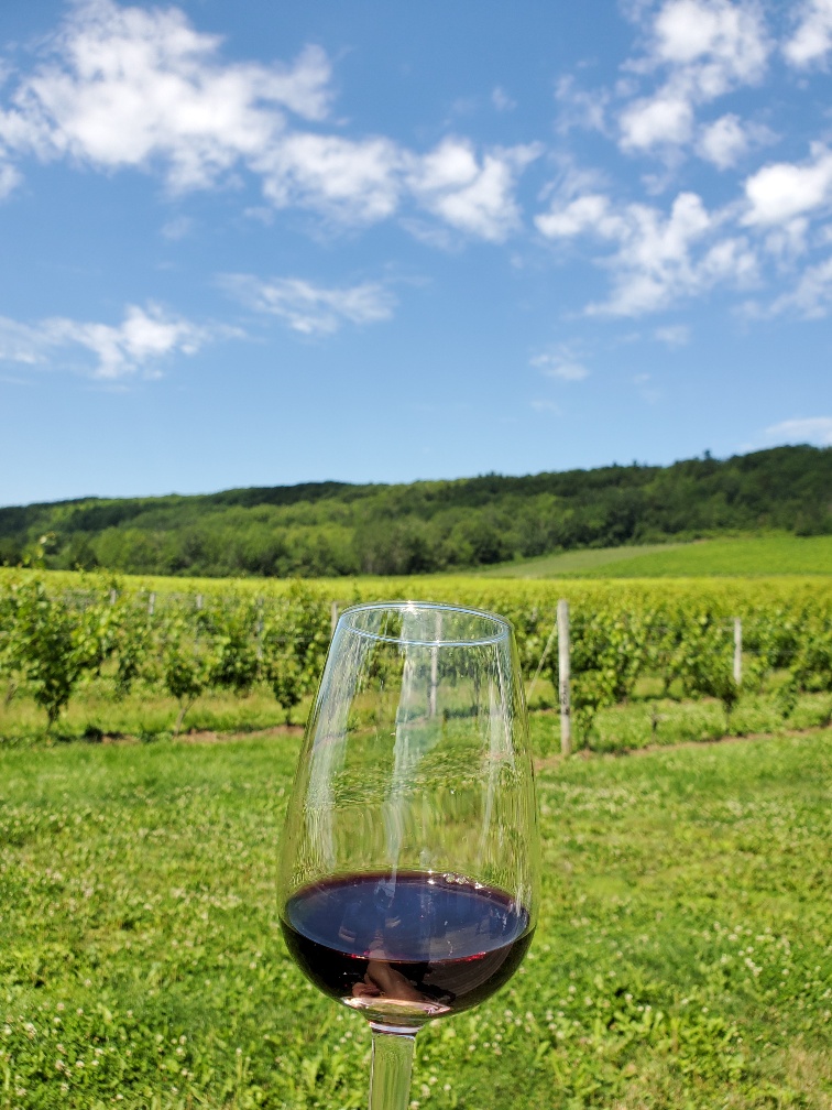 LAcadie Vineyards | 310 Slayter Rd, Gaspereau, RR1, Wolfville, NS B4P 2R1, Canada | Phone: (902) 542-8463