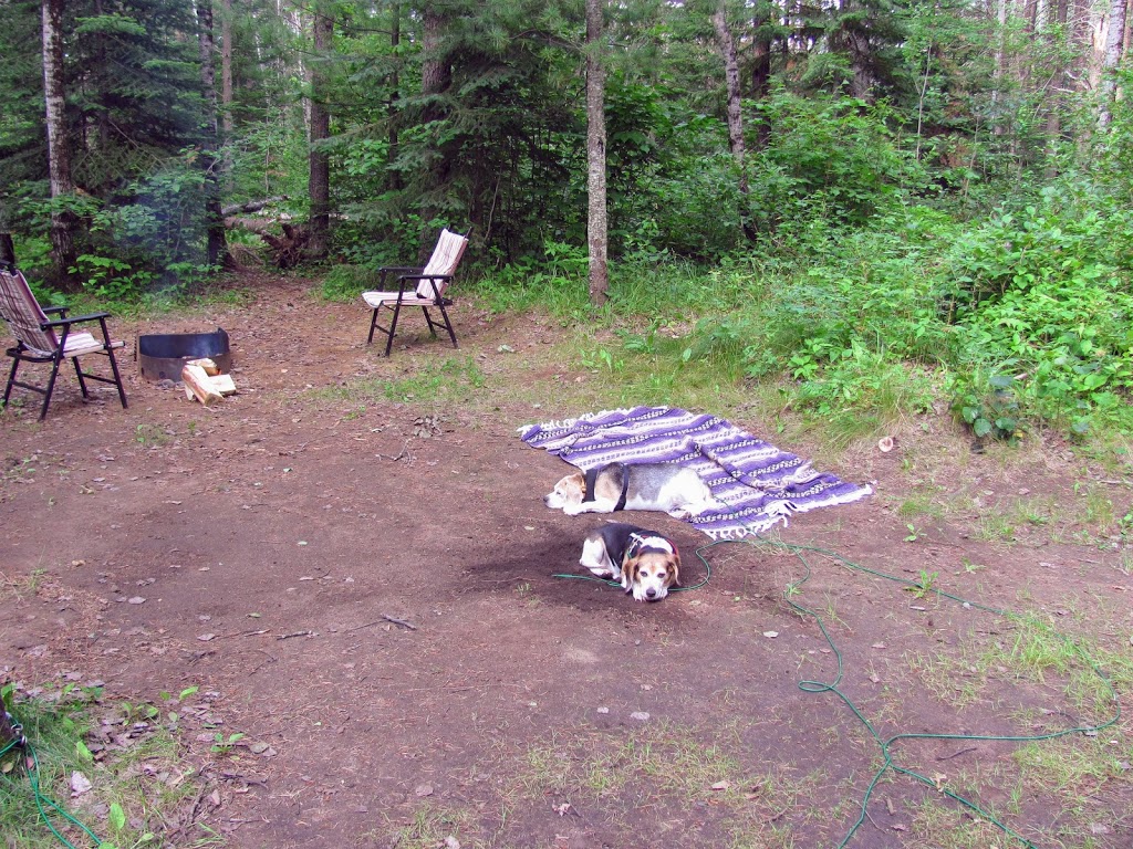 Kakabeka Falls - Whispering Hills Campground | 1-41 Luckens Rd, Kakabeka Falls, ON P0T 1W0, Canada | Phone: (807) 473-9231