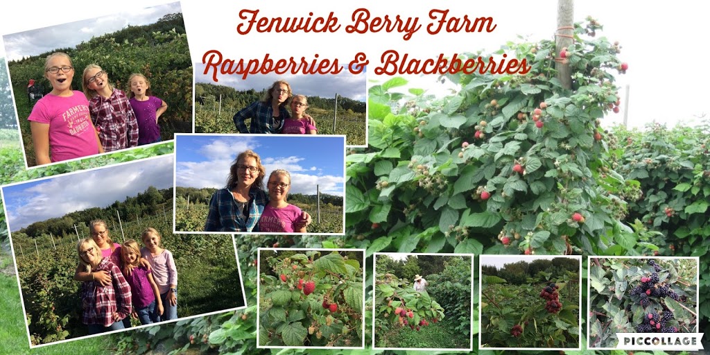 Fenwick Berry Farm: Office | 1367 Balfour St, Fenwick, ON L0S 1C0, Canada | Phone: (905) 892-8231