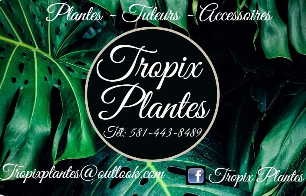 Tropix Plantes | 110 Rue Phénix, Henryville, QC J0J 1E0, Canada | Phone: (581) 443-8489