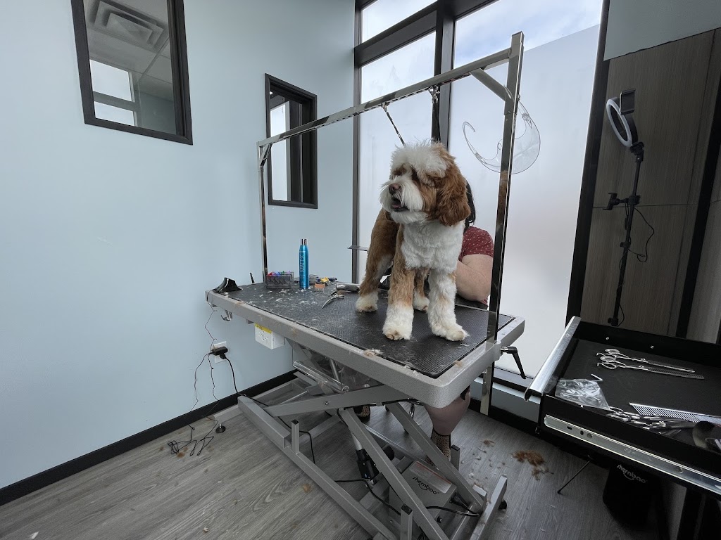 Royal Groomers and Daycare | 500 Royal Oak Dr NW #104, Calgary, AB T3G 0E8, Canada | Phone: (403) 208-4651