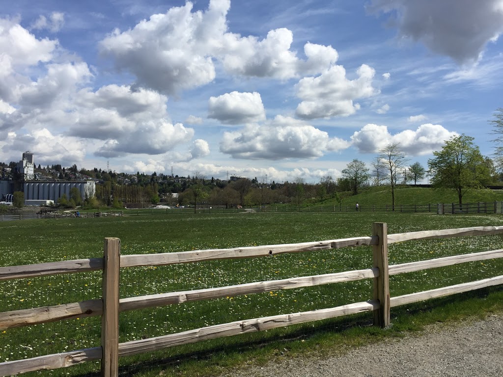 New Brighton Park Off Leash area | 765 Commissioner St, Vancouver, BC V5K 0A1, Canada | Phone: (604) 873-7000