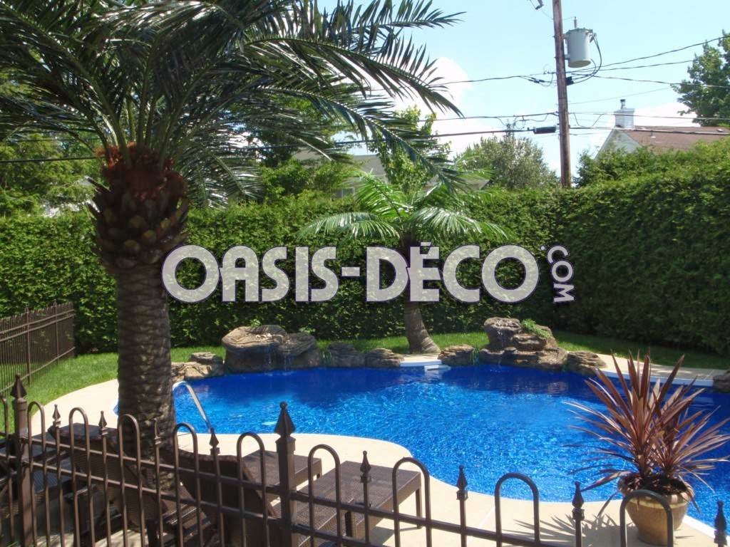 Oasis-Deco = Chute pour piscine / pool waterfall / Palmier palm  | 742 Boulevard Industriel #104, Blainville, QC J7C 3V4, Canada | Phone: (514) 248-0928