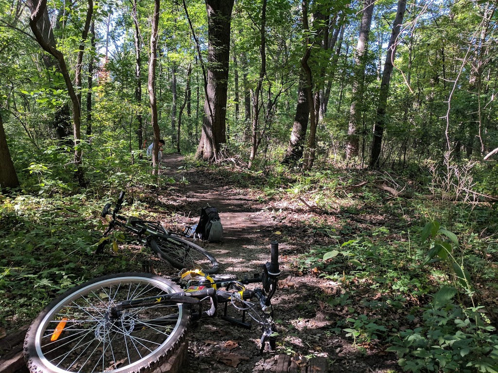 Black Oak Heritage Park | Ojibway Pkwy, Windsor, ON N9A 6S1, Canada | Phone: (519) 255-6267