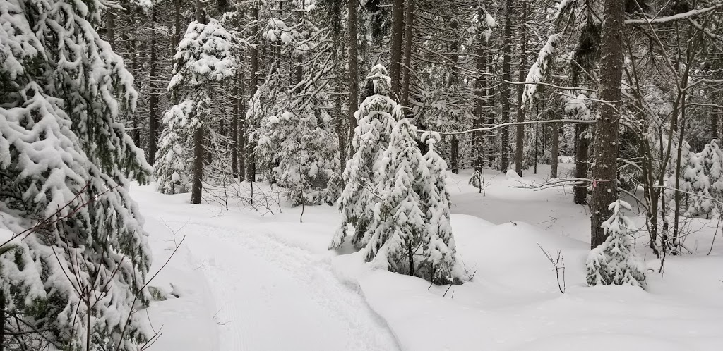 Les Sentiers de LInconnu -Sentiers Hivernaux- | 220 QC-283, Notre-Dame-du-Rosaire, QC G0R 2H0, Canada | Phone: (418) 802-2482