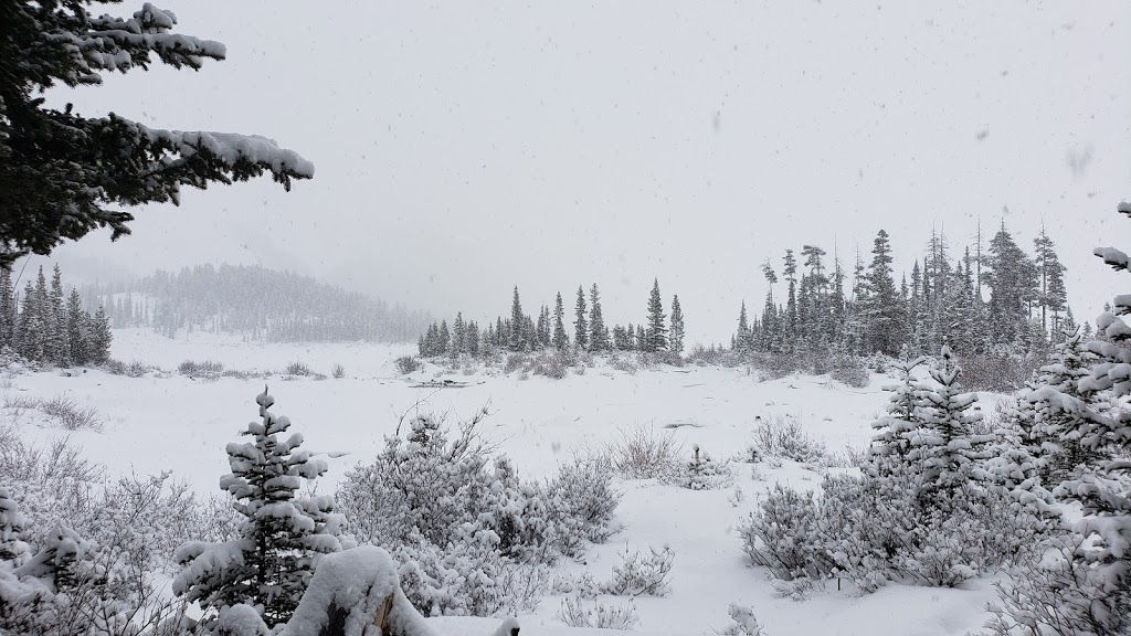 Kananaskis Visitor Information Centre | 1 AB-40, Kananaskis, AB T0L 2H0, Canada | Phone: (403) 678-0760