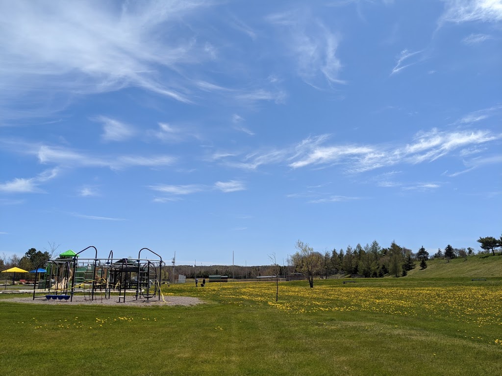 Bible Hill Recreation Park | 38 Guest Dr, Truro, NS B2N 5L9, Canada | Phone: (902) 893-8083