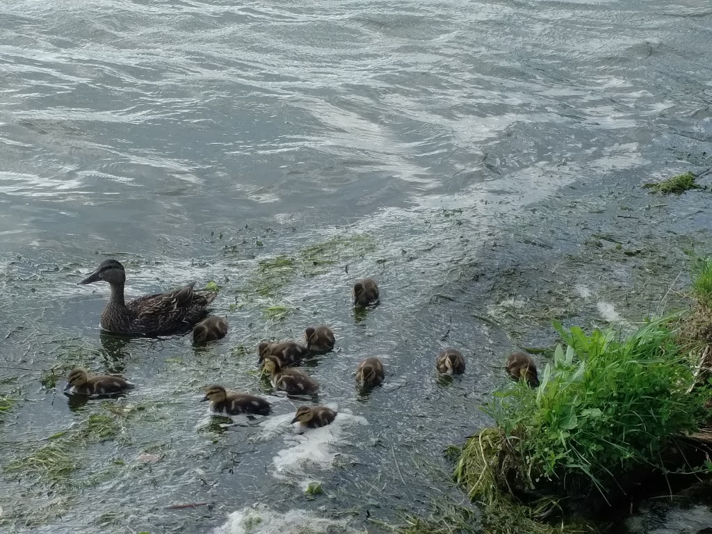 Parc du Bassin-de-La Prairie | QC-132, La Prairie, QC J5R, Canada