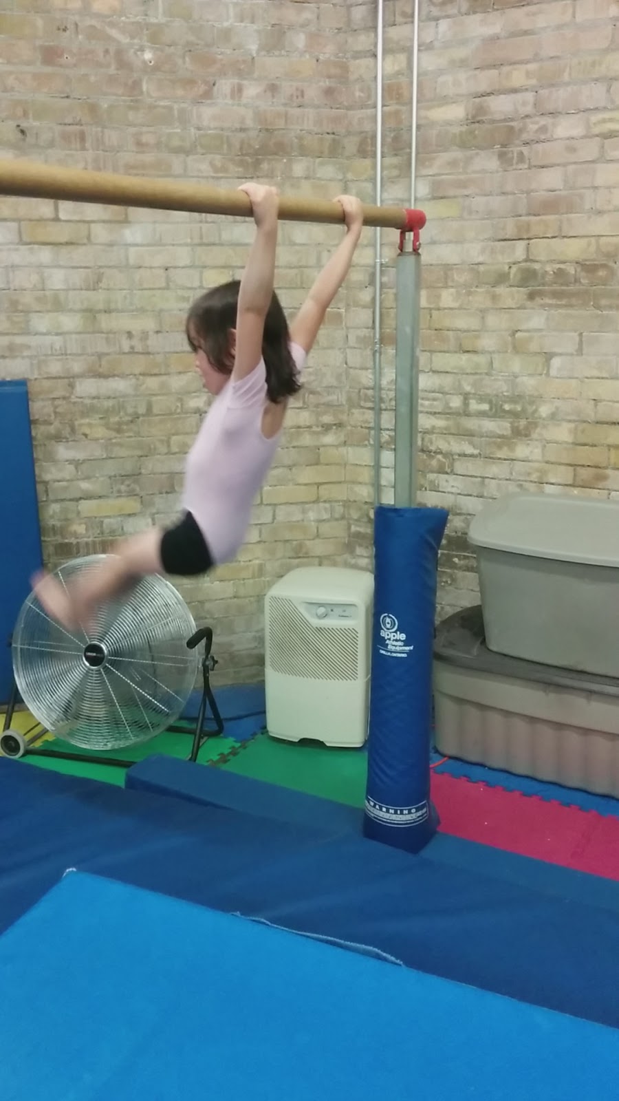 Toronto Premier Gymnastics | 115 Simpson Ave, Toronto, ON M4K 1A1, Canada | Phone: (416) 461-8998