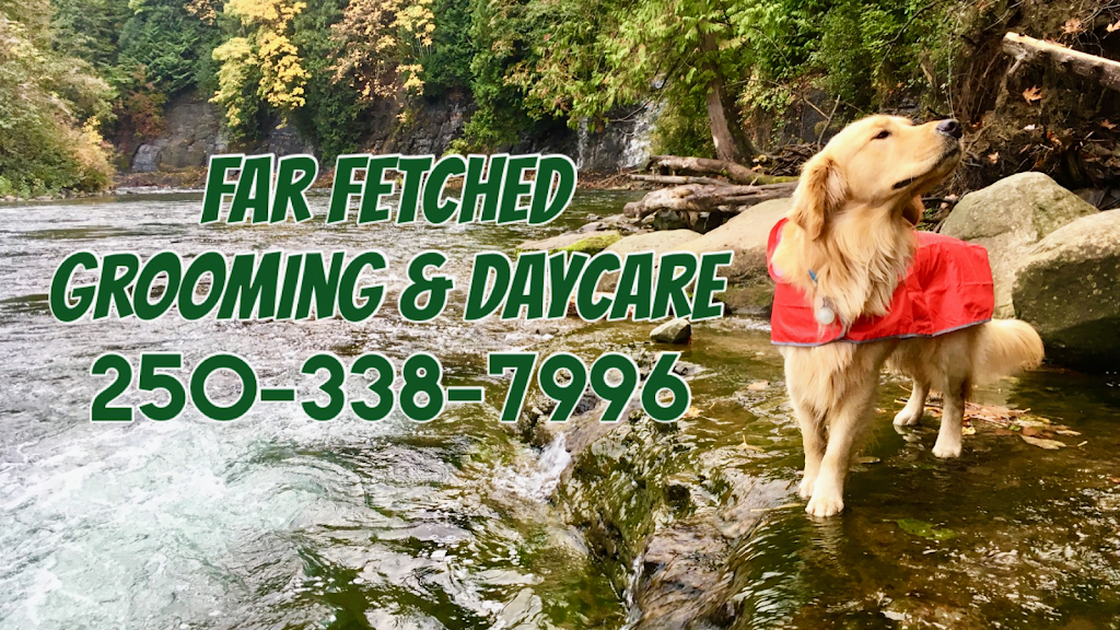 Far Fetched Grooming | 720 30th St #1, Courtenay, BC V9N 7S7, Canada | Phone: (250) 338-7996