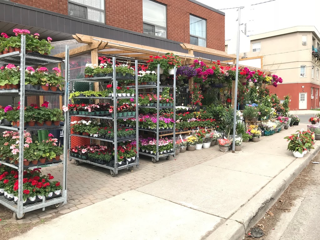 Truspeers Garden & Florist | 36 Scarlett Rd, York, ON M6N 4K1, Canada | Phone: (647) 436-9900