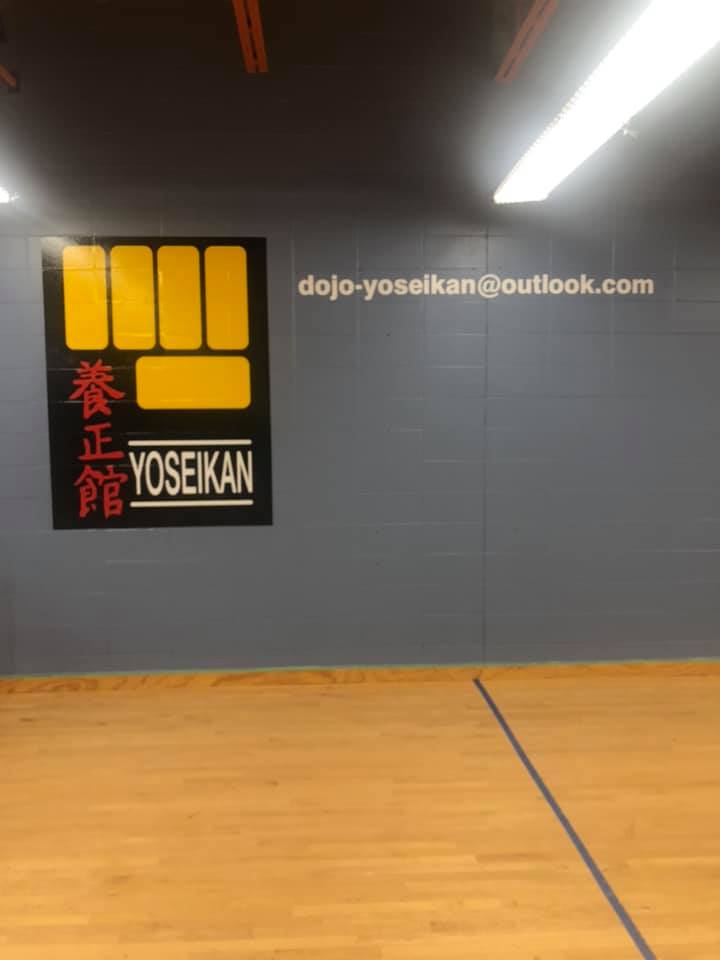 Jiu Jitsu Japonais | 9 Rue Monseigneur-Gosselin, Lévis, QC G6V 5K1, Canada | Phone: (418) 576-1801