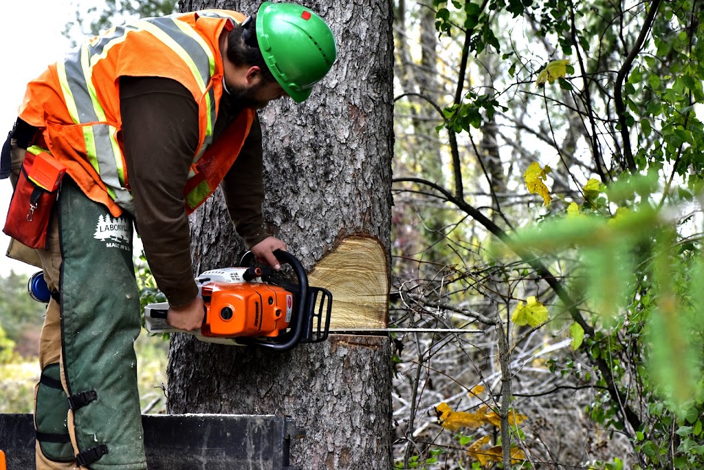 Grenacres Tree Removal Services, Arborist Services | 12698 2 Line, Campbellville, ON L0P 1B0, Canada | Phone: (647) 995-7010