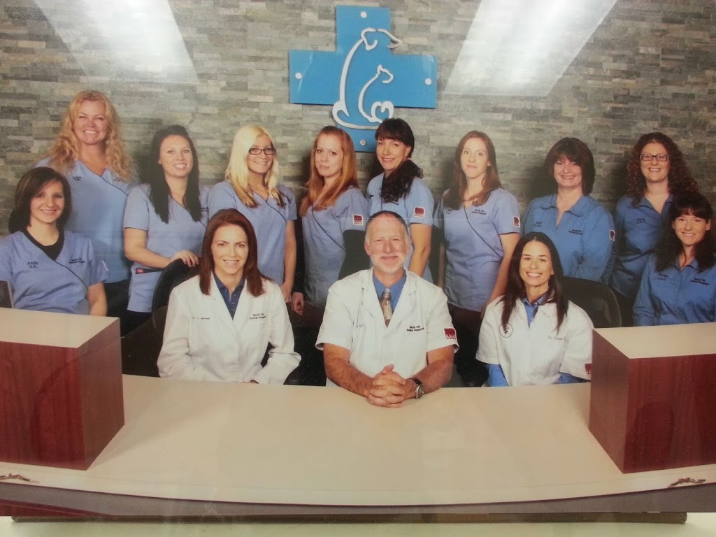 North Hill Animal Hospital | 12612 Hwy 50 #11, Bolton, ON L7E 1T6, Canada | Phone: (905) 857-5057