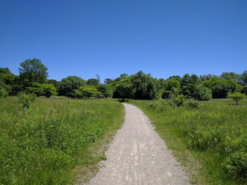 Carisbrook Drive Natural Area | Bridgeport North, Kitchener, ON N2K, Canada