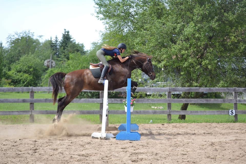 Hess Equestrian | 7790 Concession Rd 5, Uxbridge, ON L9P 1R1, Canada | Phone: (905) 649-0449