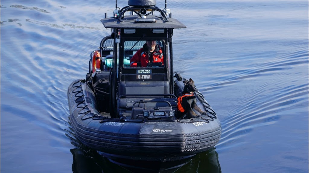 White Rock Sea Tours and Whale Watch Vancouver | Crescent Beach Marina, 12555 Crescent Rd, Surrey, BC V4A 2V4, Canada | Phone: (604) 868-1755